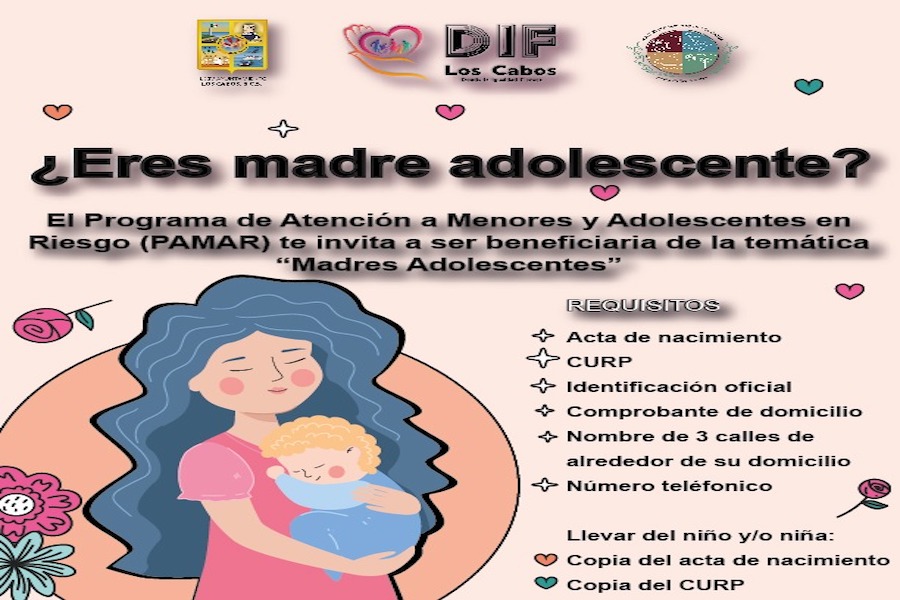 ¿Eres madre soltera? El DIF Los Cabos tiene apoyos para ti | El ...